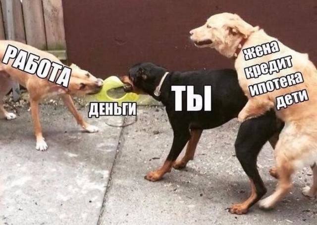 38 картинок