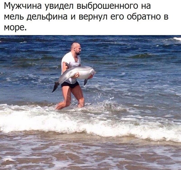 Подборка интересных и веселых картинок