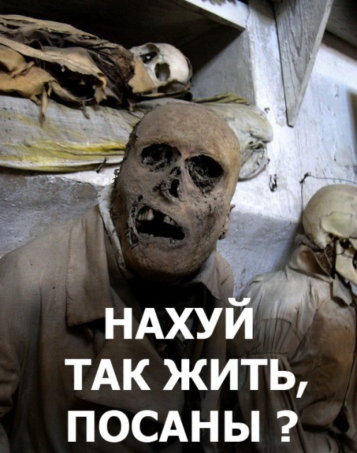 Панин гуляет в женском нижнем белье и мастурбирует, 21+