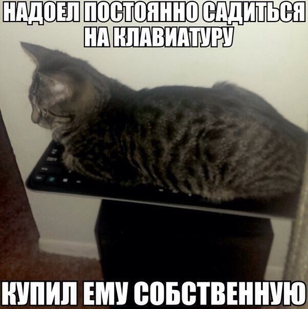 100 картинок для поднятия настроения!