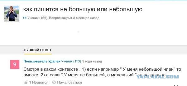 Смешные комментарии из социальных сетей 20.04.2018