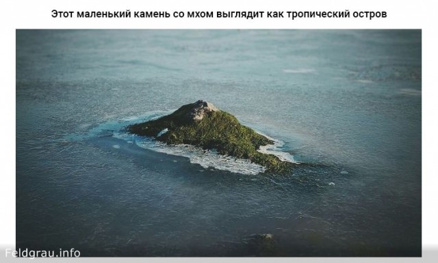 Разрядка обстановки