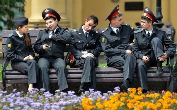 Выловлено в наших сетях