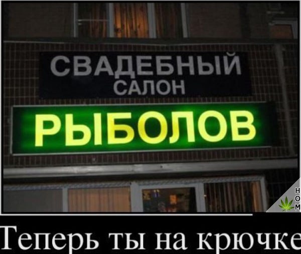 Прикольные картинки абавсём