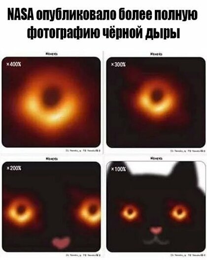 Анекдоты, истории и картинки с надписями
