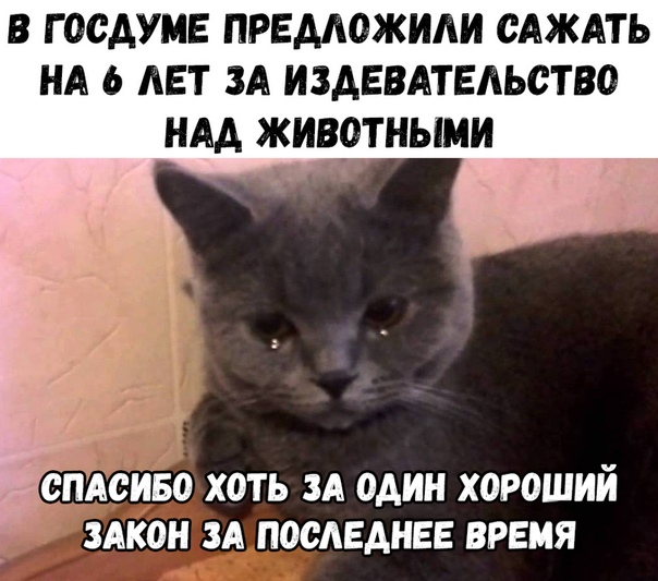 Картинки с надписями и анекдоты 17.09.19