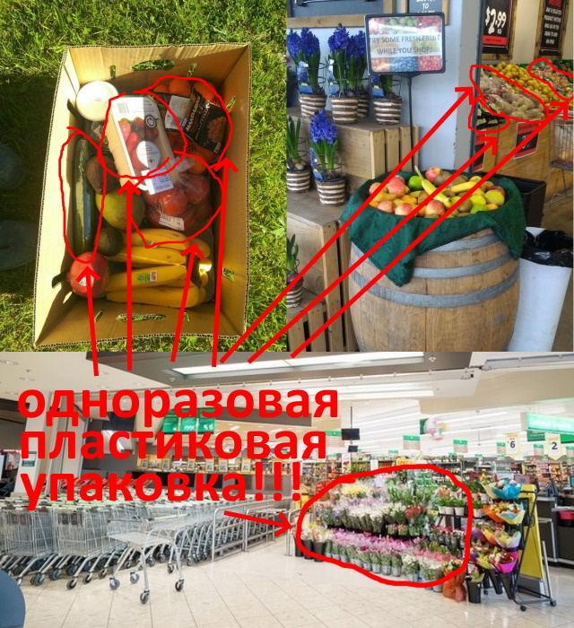 25 фактов о Новой Зеландии