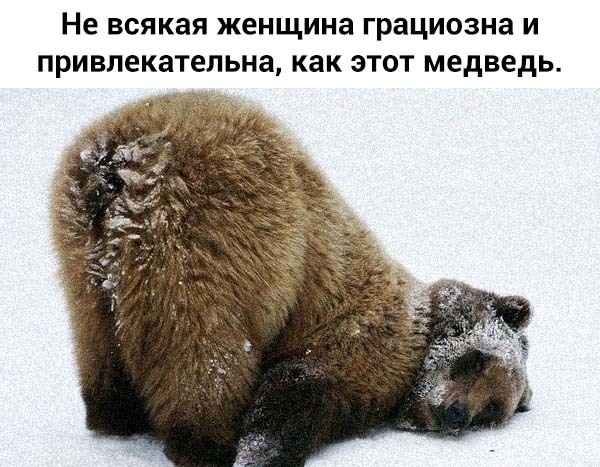 Девушка намекает пнуть?