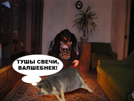 Фотожаба: О чем же думает собака?....