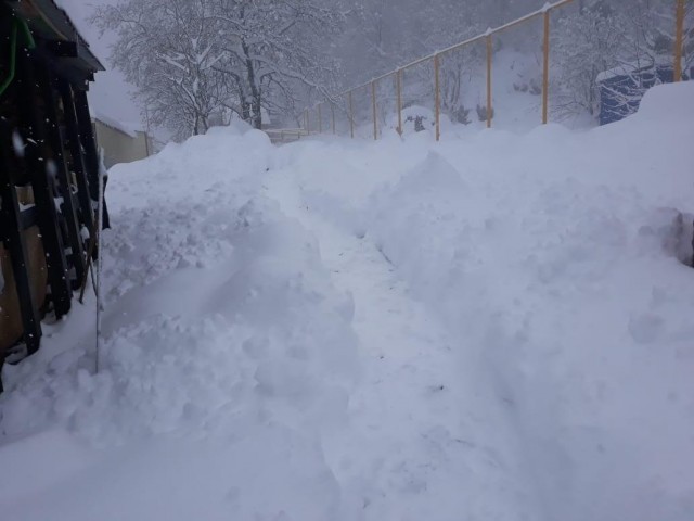 В Адыгее и Краснодарском крае за несколько дней до начала лета выпало 45 см снега