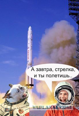 Хозяин, ты что?