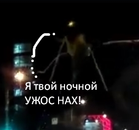 Представь, он влетел в окно тебе на шею или лицо...