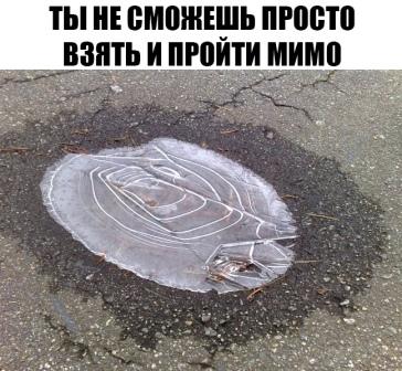 Немного картинок для настроения 05.11.20