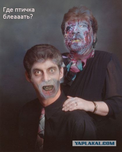 Фотожаба: А сейчас вылетит птичка!