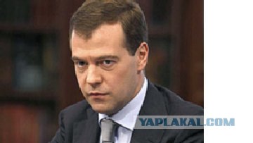 Закон- тайга, медведь за прокурора!