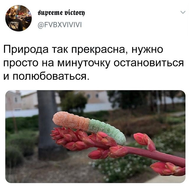 Картинки и мемы для настроения 10.02.21