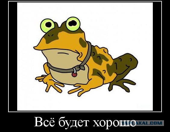 Не смотри ему в глаза!