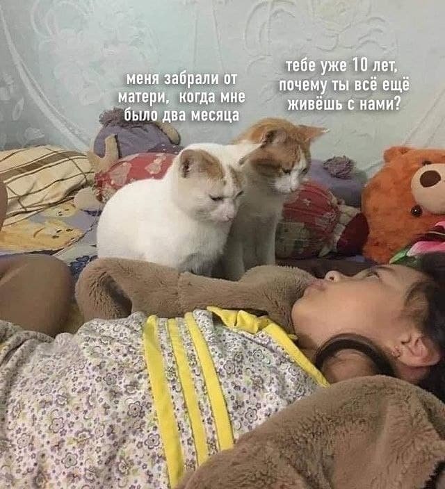Баянисто-небаянистый юмор 3.03.21