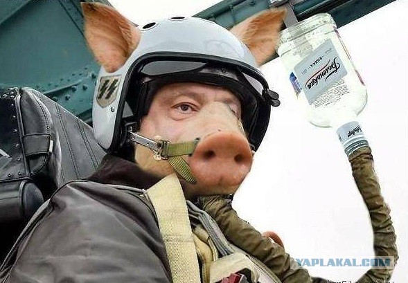 И снова Арестович жжот напалмом мякиши в черепных коробках украинцев