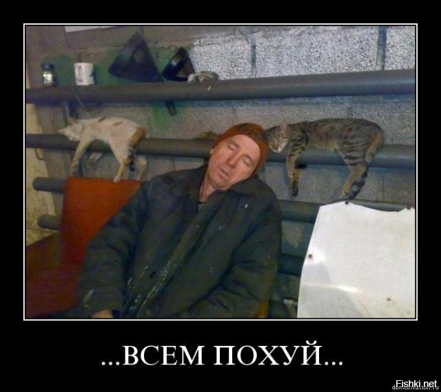 «Макдоналдс» обнародовал новое название сети ресторанов в России