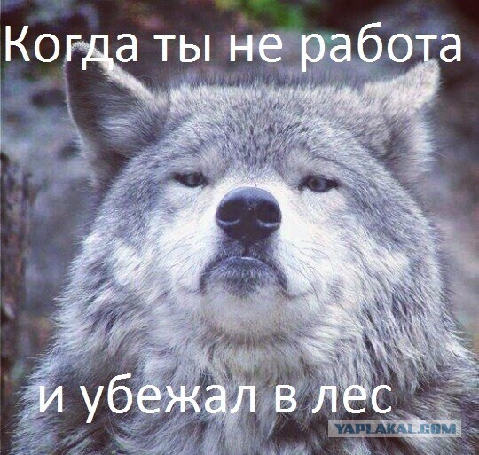 Мужики, поздравляю, мы начинаем выигрывать в гендерной войне