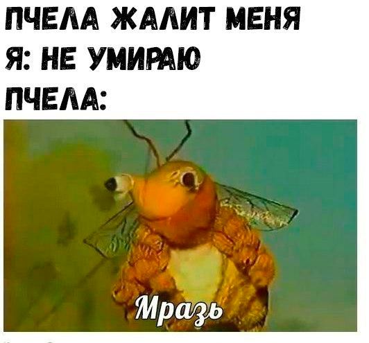 Мемы на конец июля