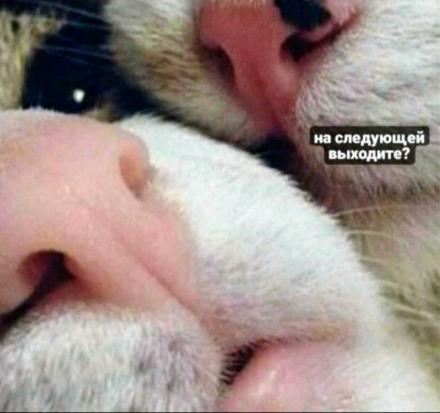 Немного картинок для настроения - 112