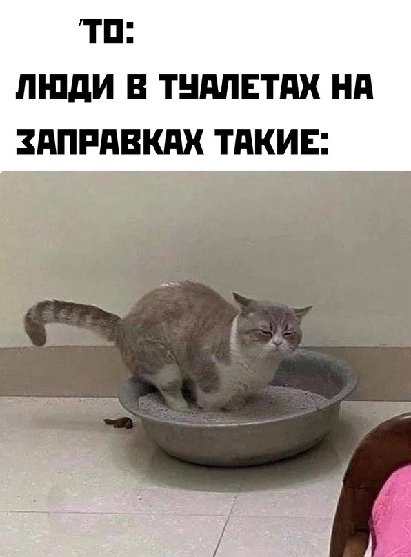 Немного картинок для настроения - 131