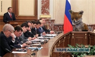 Маразм крепчал