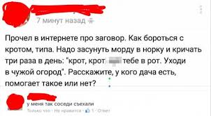 Если вдруг захотелось узнать, как взрывается петарда внутри бамбука