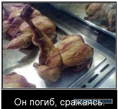 Меня в духовку?!