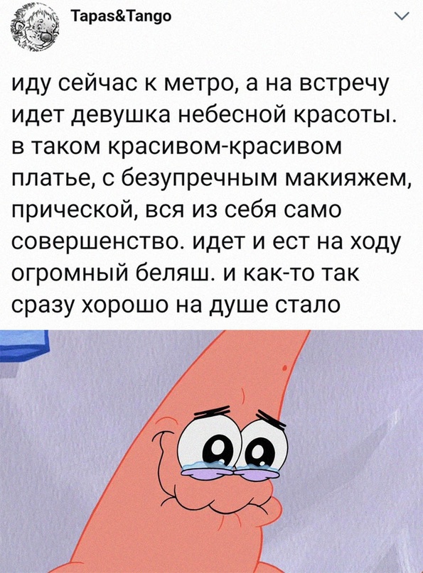 Весёлый полтишок 08.07.23
