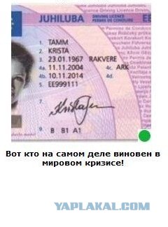 Автодемотиватор на ЯПе