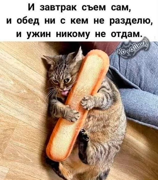 Мемчики и картинки для настроения и подумать