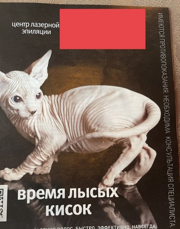 Доставка баянов