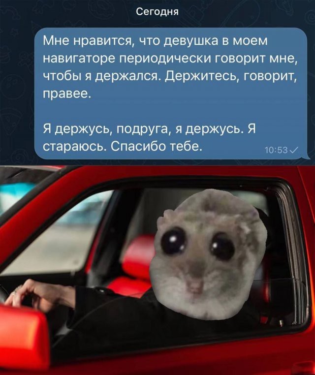 Слив лютых картинок