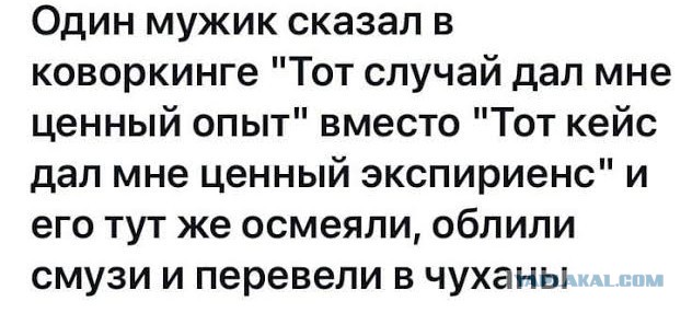 Как отличить скуфа от анка и альтушку от тарелочницы