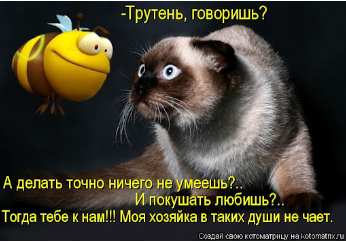 ЯП просветительный (Пчелы/Шмели/Осы/Шершни)
