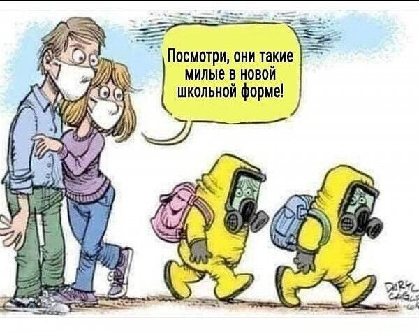 Так себе картинки 24.11.24
