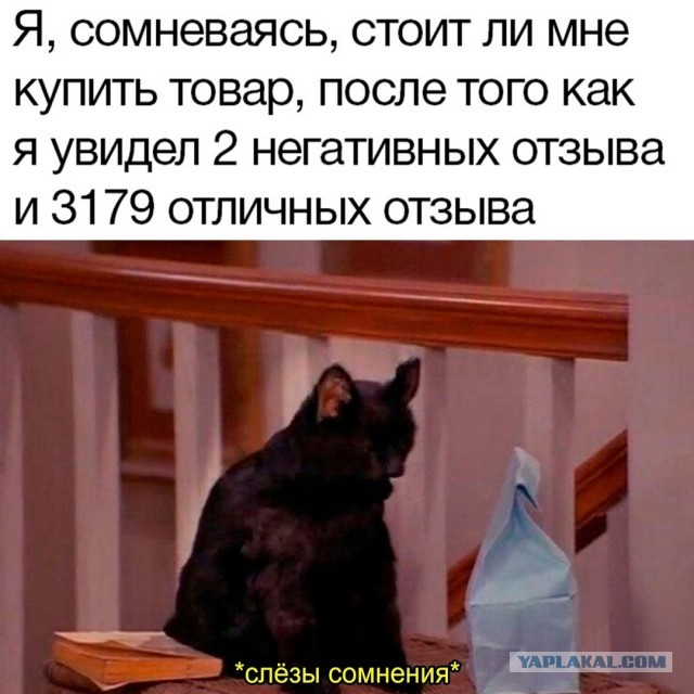Весёлый полтишок 16.02.25