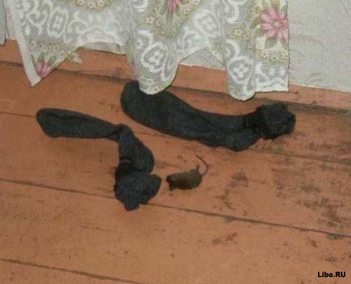 Лучшие дуэты