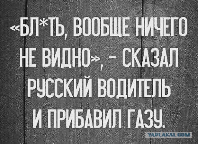 Антарктический караван