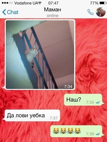 Назовете слово целиком?