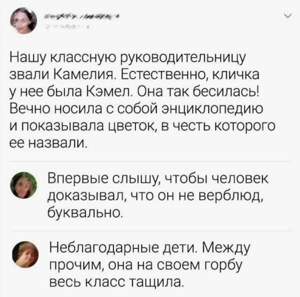 Веселые картинки в понедельник (16.02)