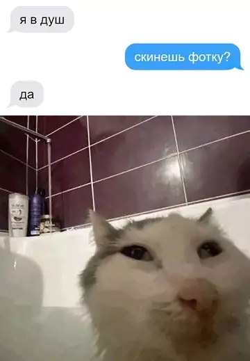 Картиночки, баянчики 10 марта