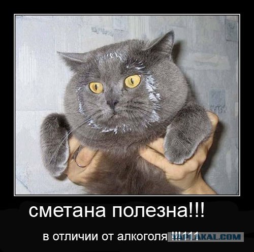 Унываторы (19 фото)