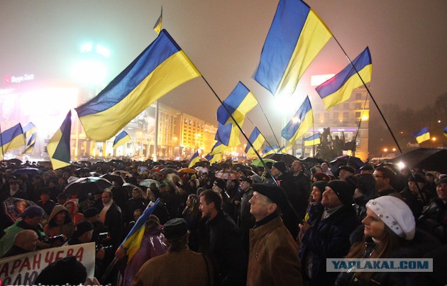 Вызов БАНДЕРЛОГАМ