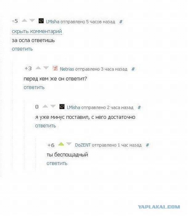 Смешные комментарии из социальных сетей