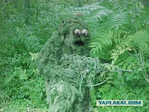 На Украине обнаружен Йети