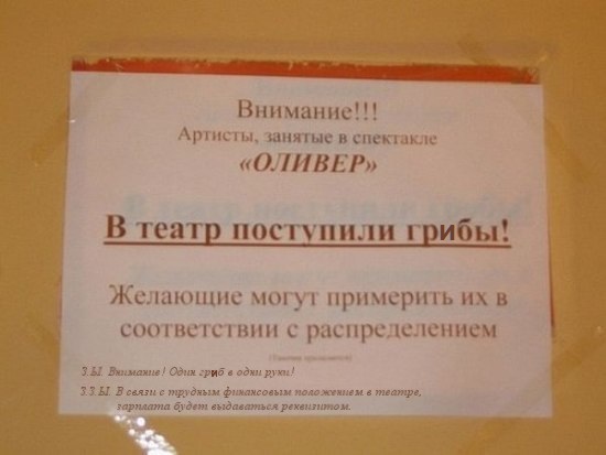 Новое поступление в театр